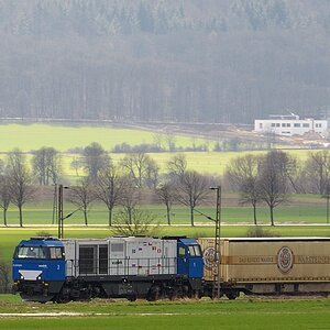 Warsteiner Zug