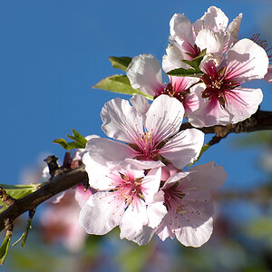 2010 04 18  DSC0995