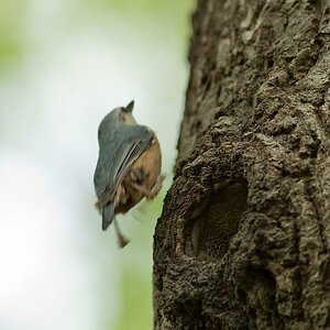 20100509 7733 [NIKON D2Xs]   300 mm  1 320 Sek. bei ƒ   3,2