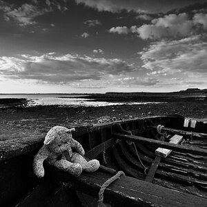 teddy2