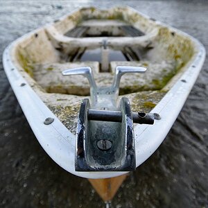 Raglan und Umgebung 298