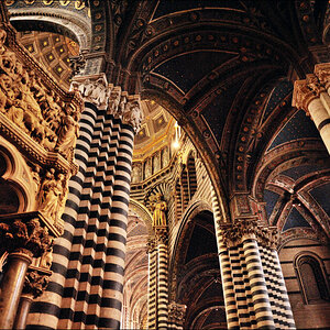 Dom Siena