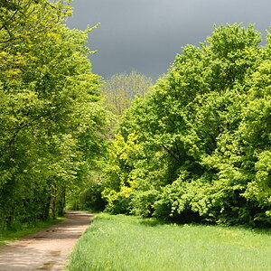 20100521 134814 pasing
