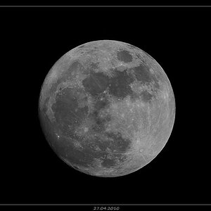 Mond 27.04.2010

Nikon D700 - 600mm - F7.1 - 1/320 Sec. - ISO-200 - Freihand