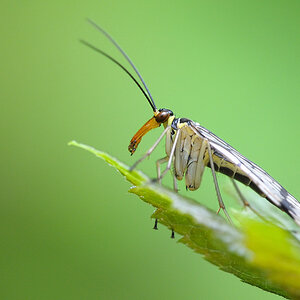 20100507 155134 D3N 9557