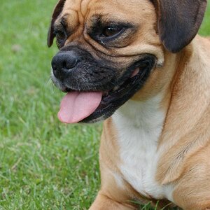 Lucy Profil 1 7 09