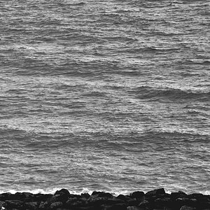 angler in netanya