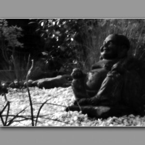 DSCF6248 1000 bw