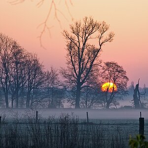 Aprilmorgen 1a