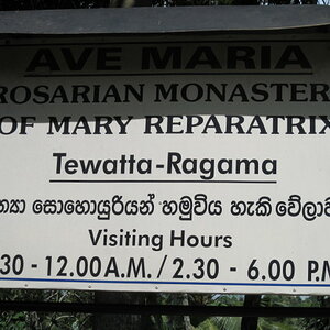 Mary Reparatrix   Plate Rosarian Monastery