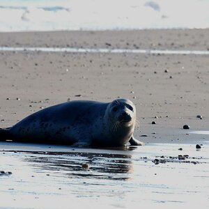 Helgoland