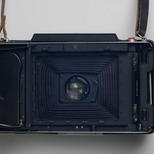 pola2