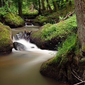 web Otterbachtal 100529 5290