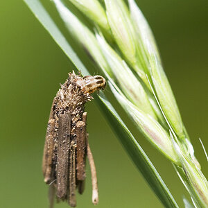2010 05 23 unbekannt