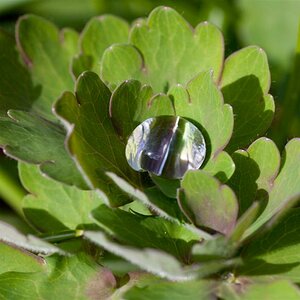 Wassertropfen