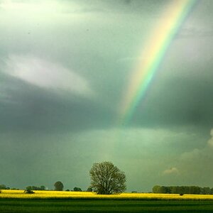 rainbow