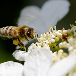 20100523 151927