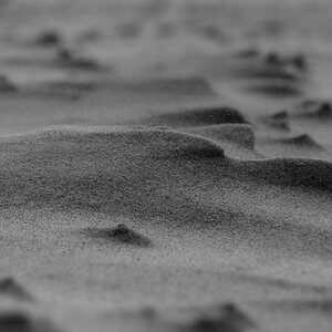 Borkum LOE4238 sw