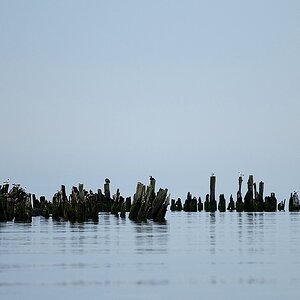 Usedom DSC 3313