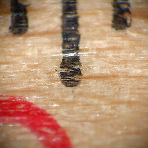 Mit selbstgebasteltem Lupenobjektiv (Maßstab 1:5,5):
4,3 mm auf einem Meterstab aus Holz