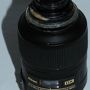 Der selbstgebastelte Lupenobjektiv-Vorsatz am 85/3.5G micro VR - Nikkor