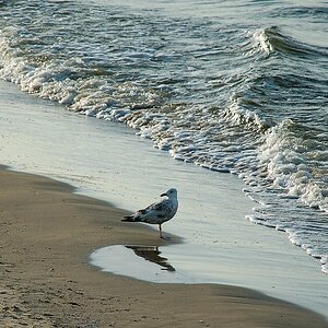 Usedom DSC 3379