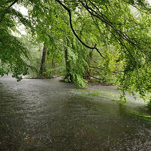 05 20100530 162059 wuerm starnberg