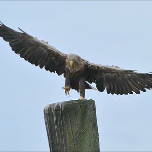 acomp usedom 0281b
