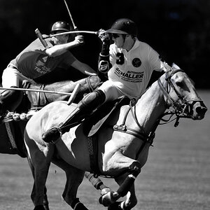 20090830 144337 sw Polo Schwifting