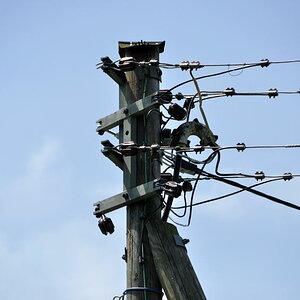 DSCV1405
18-200VRII bei 200mm f/5.6 1/2500s und VR aus.