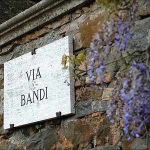 Montalcino
