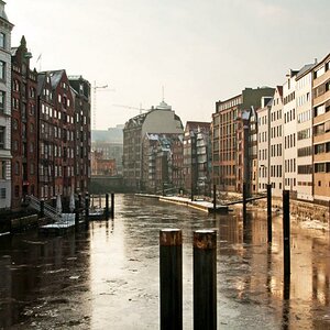 Gegenlicht Hamburg 1