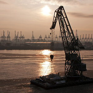 Gegenlicht Hamburg 2