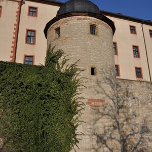 DSC 0065