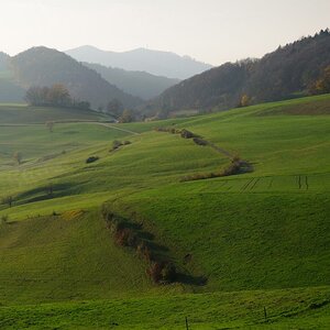 Polenstrasse