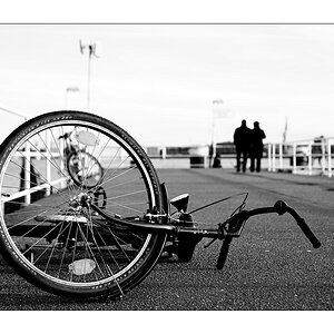 dsc 0302 sf