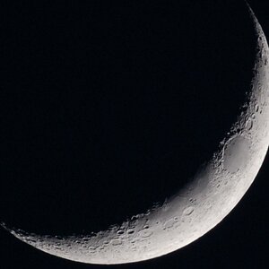 DSC 4978 crop