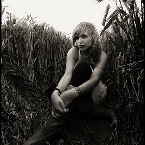 Field