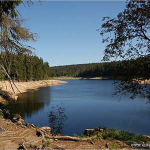 am Oderteich ...