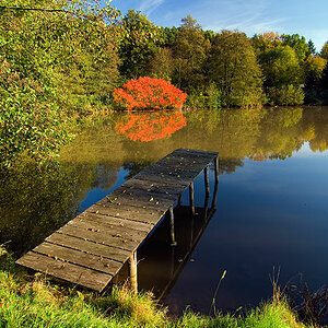 Fraenkischer Fischteich