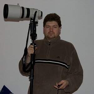 IMG 1316cd