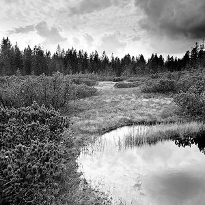 Bayerischer Wald, Schachten, Hochmoor