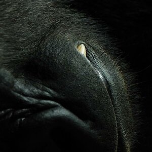 Minima 09