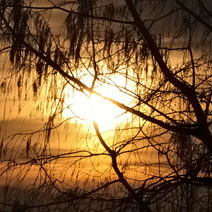 Sonnenuntergang 
ISO  Lo1
85 mm
1280 x 865
1/4000
F 5.6
S / Blendenautomatik
WB Auto