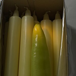 s DSC 0320