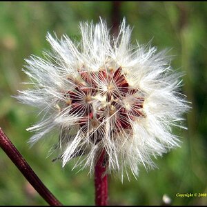 • Makro •

Nikon Coolpix S600