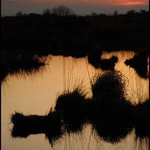 Ewiges Meer V