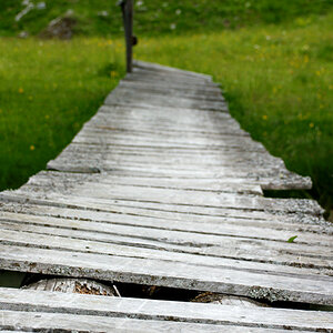 Holzbrücke (DOF)