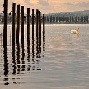Untersee