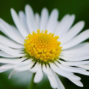 20100605 122205